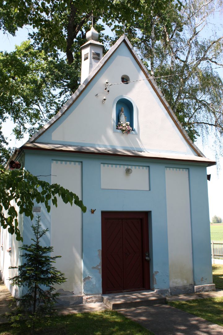 Zdjęcie z galerii