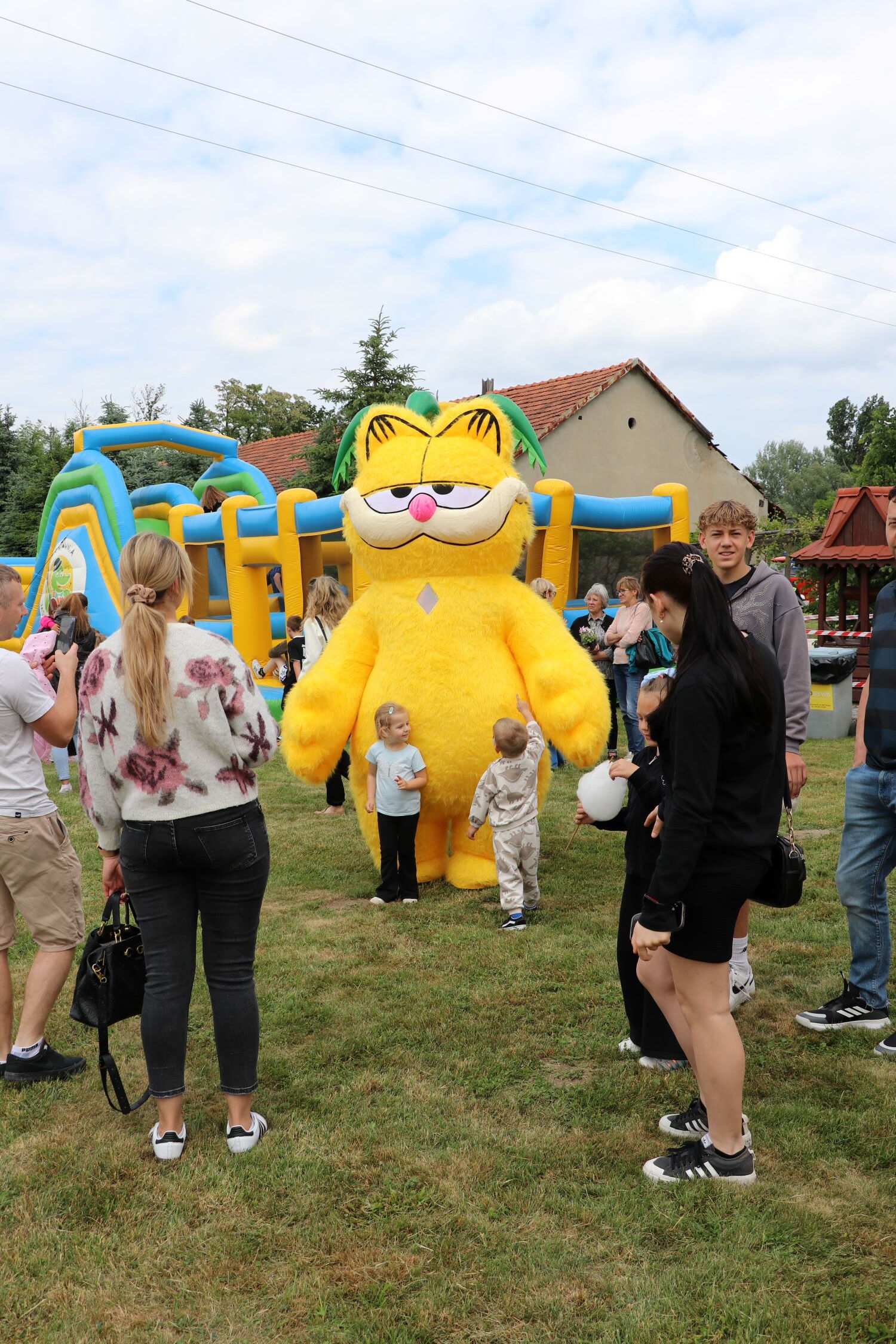 Zdjęcie