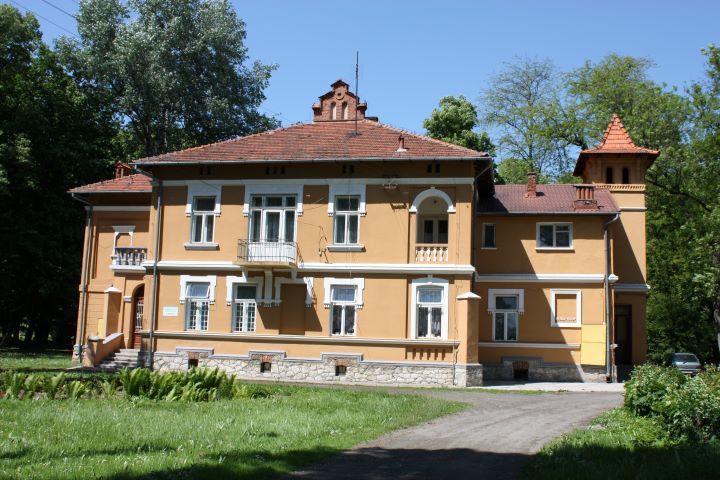 Zdjęcie z galerii