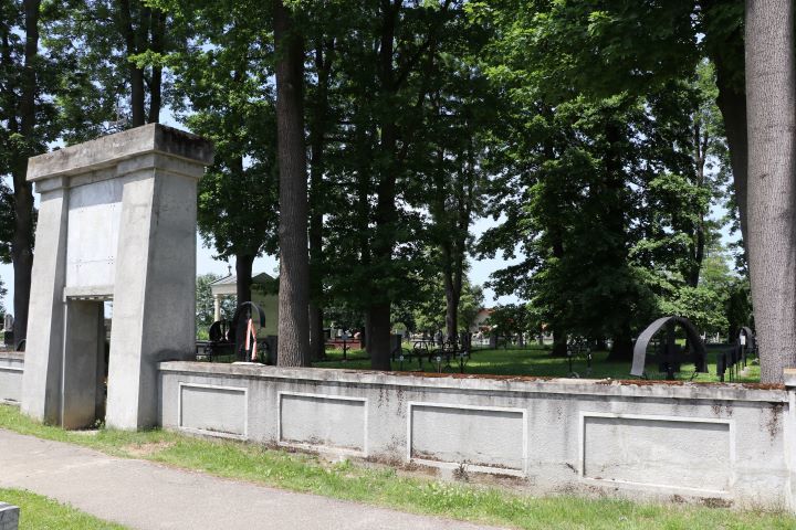 Zdjęcie z galerii