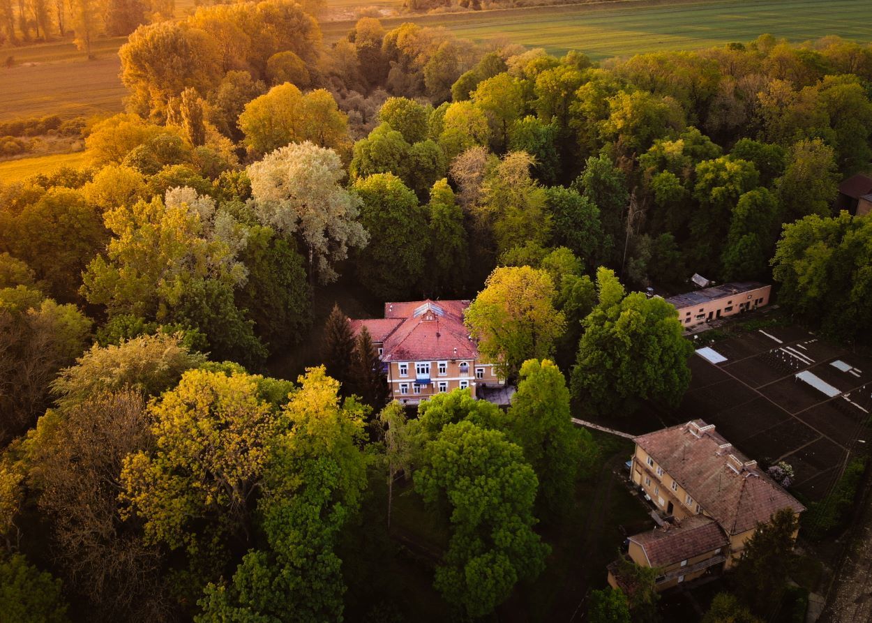 Zdjęcie z galerii