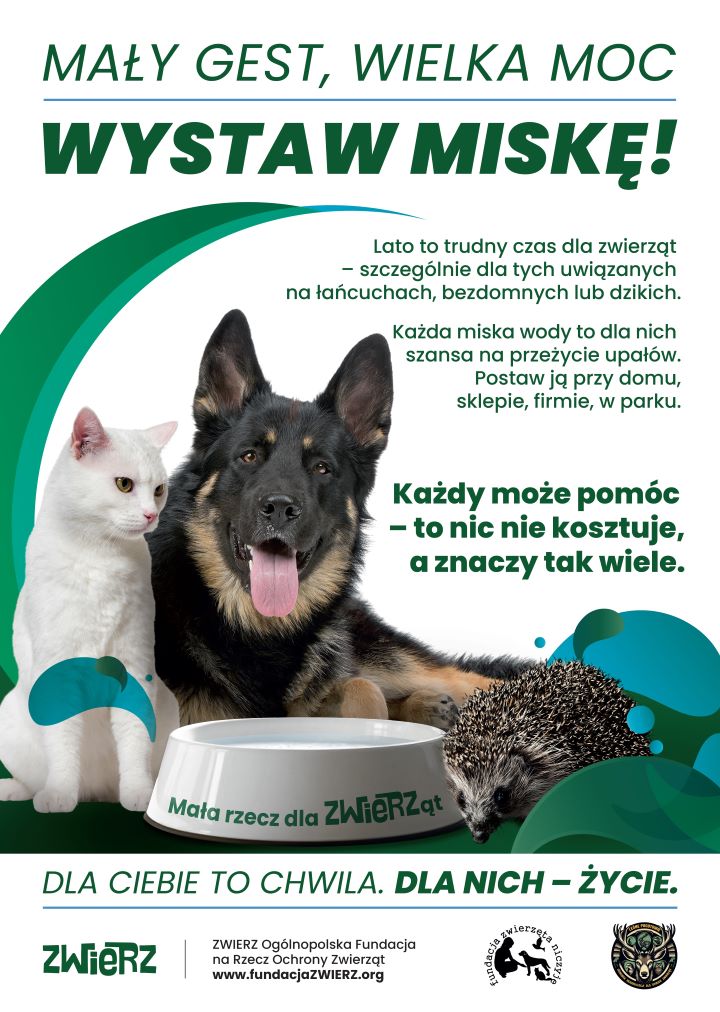 Plakat wystaw miske